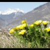 20110403_060